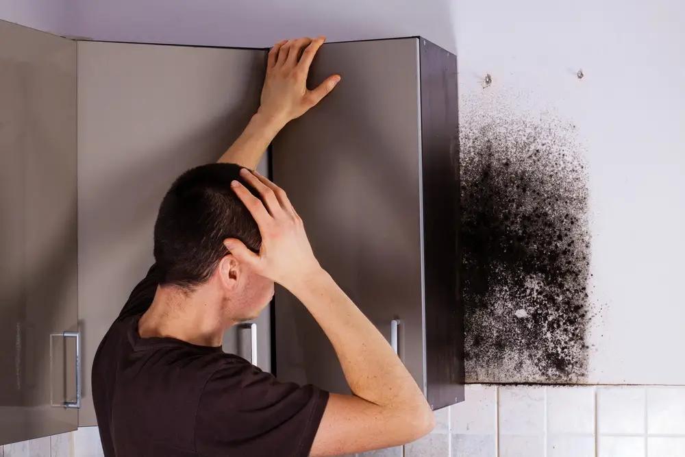 Black Mold Exposure