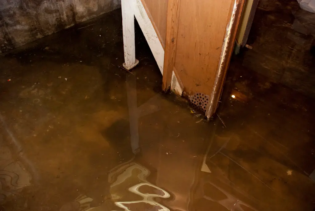 Flooded Basement Restoration