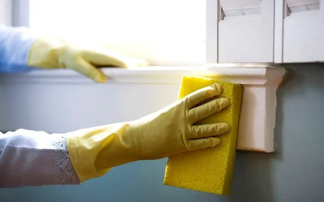 Black Mold Remediation