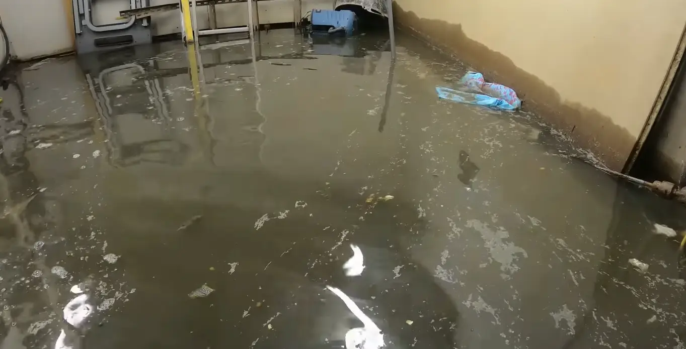 Flooded Basement Repair